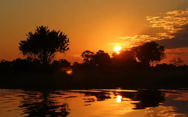 Into the Okavango: Southern Nights