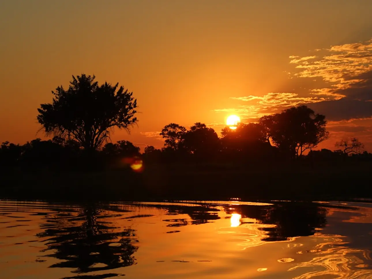 Into the Okavango: nights under the southern sky