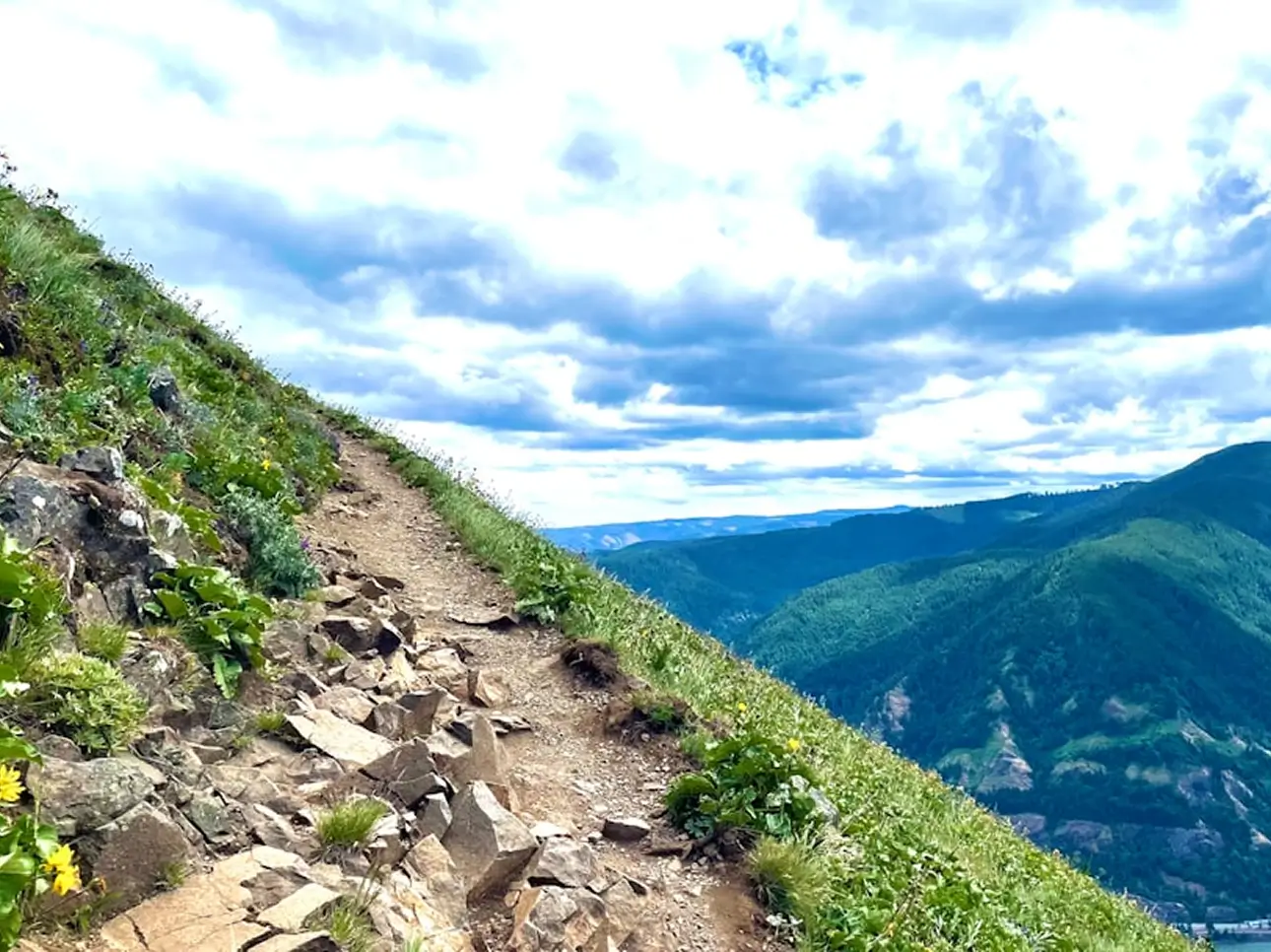 Tuscany by Village and Vineyard
