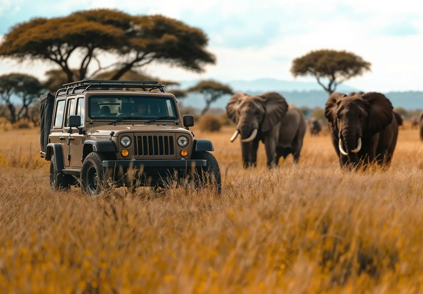 Kruger Private Reserve Safari